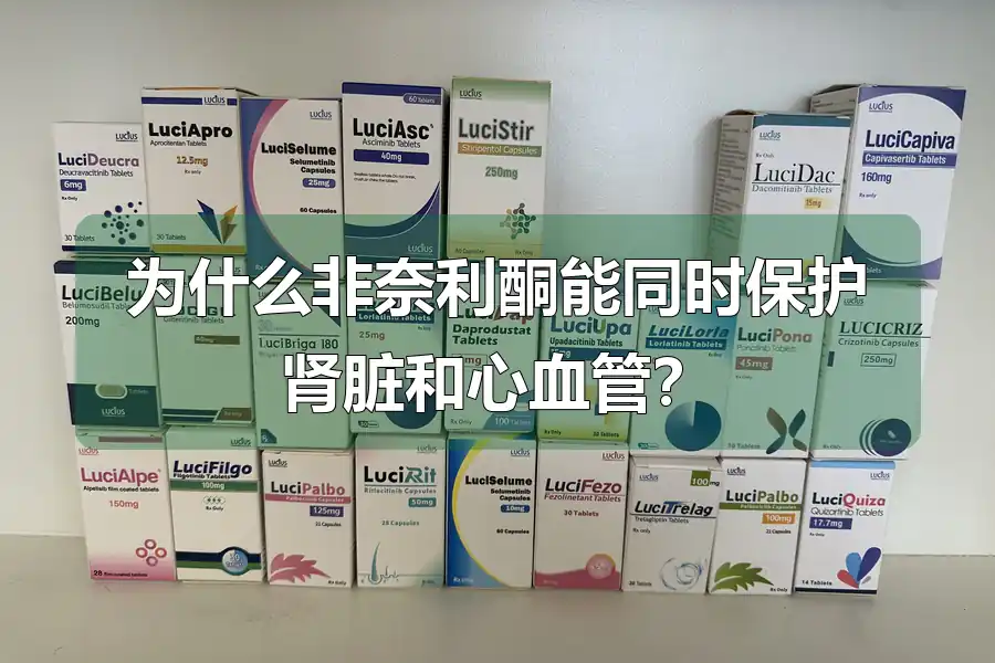 为什么非奈利酮能同时保护肾脏和心血管?