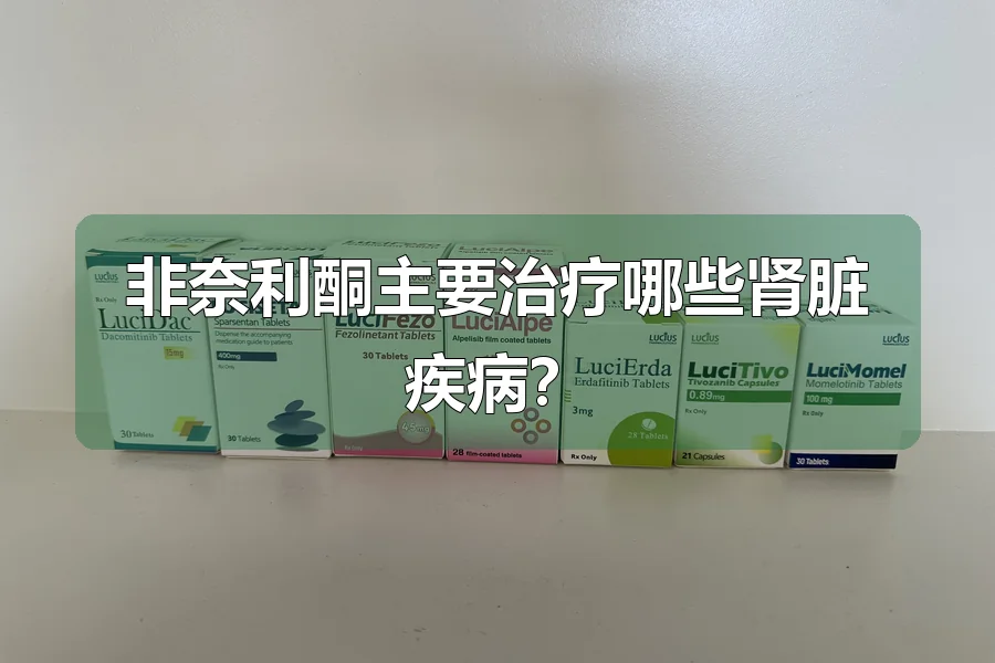 非奈利酮主要治疗哪些肾脏疾病？