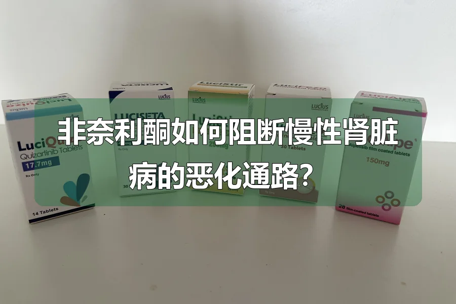 非奈利酮如何阻断慢性肾脏病的恶化通路?